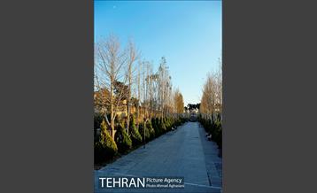 باغ موزه قصر تهران 9