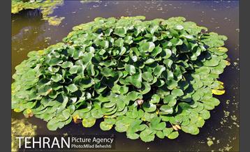 تهرانگردی احمد مسجدجامعی در منطقه 22‎ 9