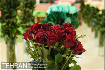 شانزدهمین نمایشگاه گل و گیاه تهران 4