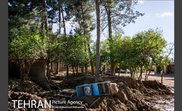 پاکسازی معابر و منازل پل دختر 21