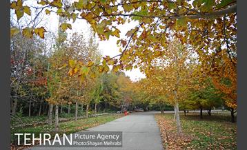 باغ گیاه‌شناسی ملی ایران 19