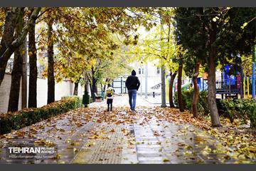 یک روز پاییزی در منطقه ۱۴