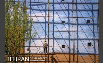 رنگ و بوی بهاری در خیابان های منطقه 7