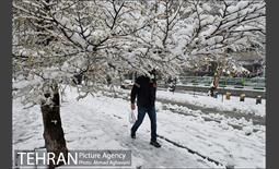 بارش اولین برف پاییزی در تهران 28