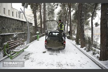 روز برفی تهران 19