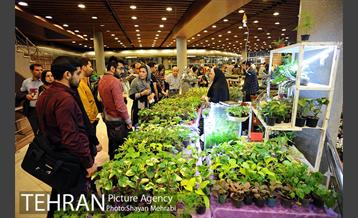 نمایشگاه گل و گیاه در بوستان گفتگو 29