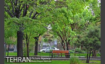 باران بهاری در تهران - 2 7