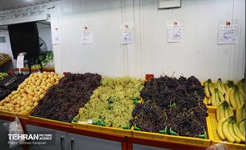 صد و سی و نهمین پویش امید و افتخار 28