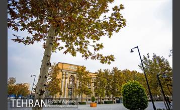 پاییز میدان مشق (سر در باغ ملی) 16