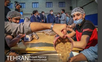 بازدید دکتر حناچى از فعالیت هاى گروه هاى مردمى و جهادى 12