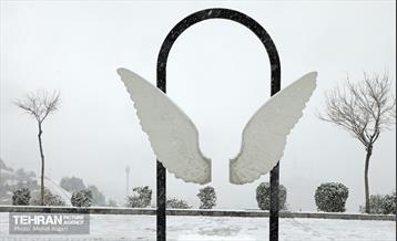 بارش برف زمستانی در منطقه ۲ 32