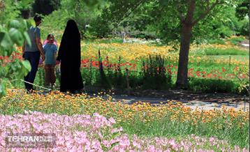 طبیعت بهاری در باغ ملی گیاهشناسی ایران 7