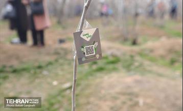 غرس 2000 نهال در بوستان جنگلی سرخه‌ حصار 11