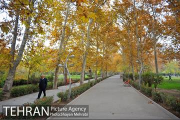 پاییز در پارک های تهران 11