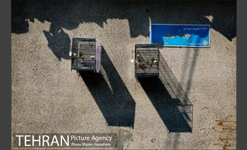 محله چیذر 26