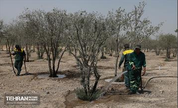 اینجا کارگاهه؛ پروژه بام ری 62