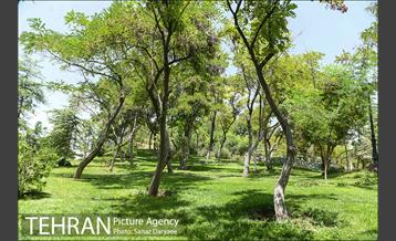 بوستان بهشت مادران 30