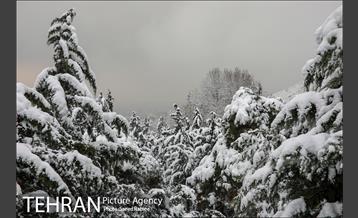برف زمستانی پارک جمشیدیه 3