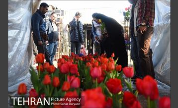 بازار گل شهید محلاتی در آستانه نوروز 4