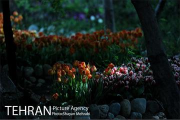باغ ایراتی (بوستان مهندس مختاری) 31
