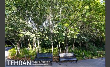 باغ گیاه شناسی ملی ایران  31