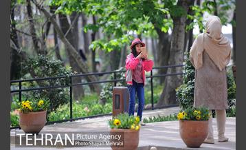 رویش گل های لاله در باغ ایرانی 33