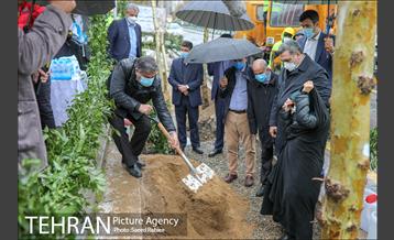 آئین کاشت درخت زندگی 22