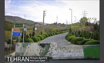 روز طبیعت در بوستان هاى منطقه ٥