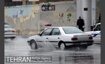 بارش باران بهاری در تهران 8