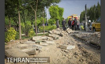 پویش سه شنبه های بدون خودرو در منطقه 8