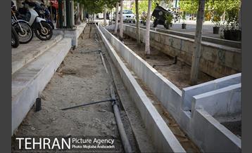 گلکاری در خیابان ولیعصر 21