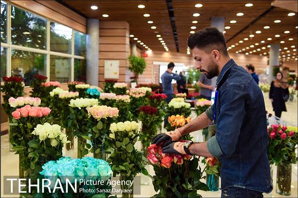 شانزدهمین نمایشگاه بین المللی گل و گیاه تهران 3