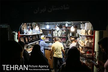 ویژه برنامه فرهنگی کوچه های تهران 12
