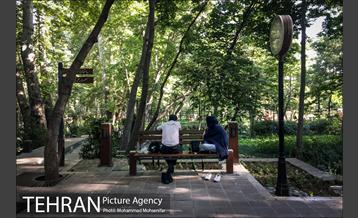 تهران، روزمرگی 16