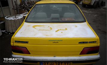 برف چهره تهران را سپیدپوش کرد 3