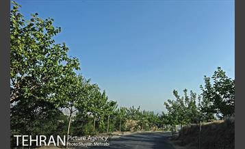 بوستان جنگلی لتمال کن 4