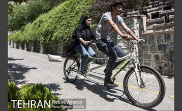 بوستان نهج البلاغه 43