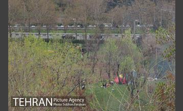 روز طبیعت در اراضی عباس آباد  8