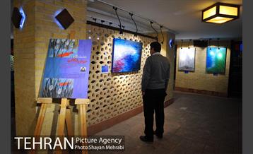 نمایشگاه حوض نقاشی در نگارستان شهر 7