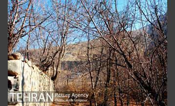 طبیعت پاییزی روستای سنگان 6