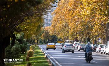 سمفونی رنگ های پاییزی  21