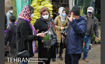 بازار گل و گیاه غرب تهران در آستانه نوروز 19