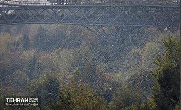 مراسم رونمایی از پویش "همه هوادار ایران" 10