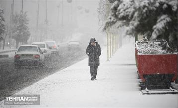 بارش اولین برف زمستانی در تهران 4