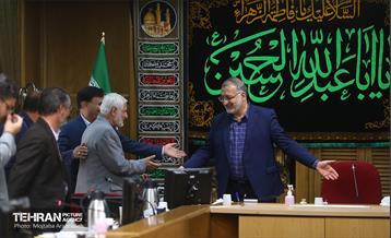 دیدار اعضای شورای عالی استان ها با شهردار