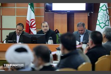 بازدید کمیسیون برنامه و بودجه شورای شهر از پروژه‌های منطقه ۱۷ 7