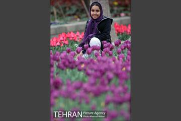 جشنواره لاله‌ها در بوستان زندگی محله هرندی 16