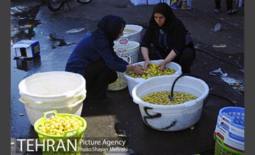 بازار میوه تربار مرکزی 31