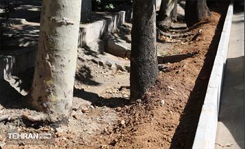 نشست خبری شهردار منطقه 1 2