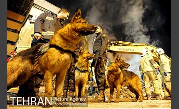 چهارمین روز آواربرداری ساختمان پلاسکو-2 26